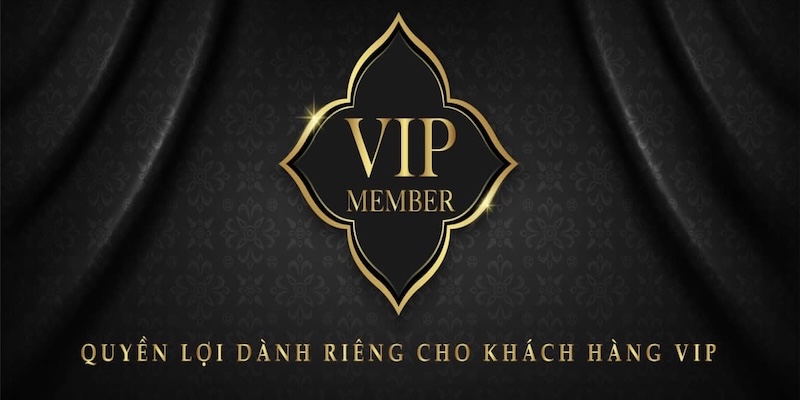 Ưu đãi dành cho thành viên VIP với mức độ tham gia nhiệt tình